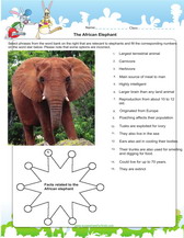 worksheet on elephant