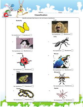 classify vertebrates and invertabrates pdf