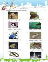 worksheets on classification of fish, birds, mammals