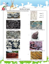 identify rock types pdf