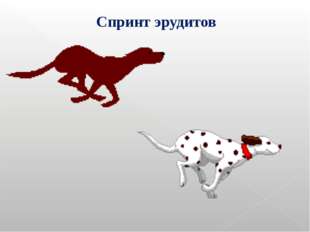 Спринт эрудитов Спринт эрудитов