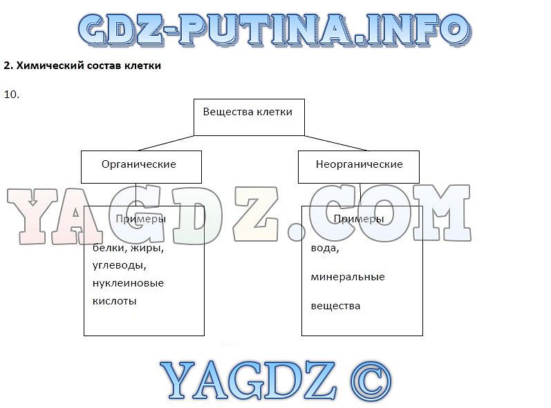 Гдз по фото по биологии 6