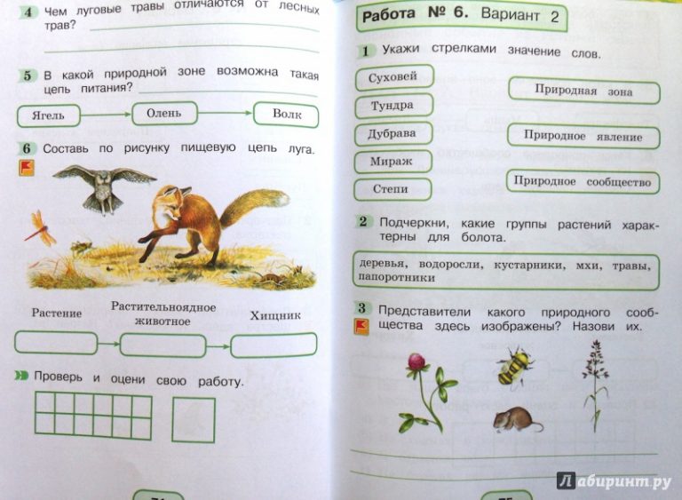 Ребусы по окружающему миру 4 класс с ответами картинки